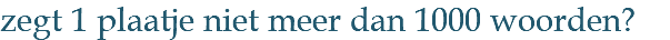 zegt 1 plaatje niet meer dan 1000 woorden?